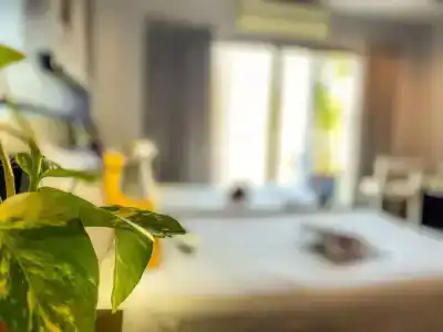 Sino Inn Phuket - Sha Plus - 164