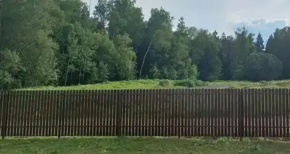 Фиолетовое лето - 6
