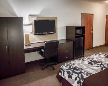 Sleep Inn & Suites West I-70 Wanamaker - 3