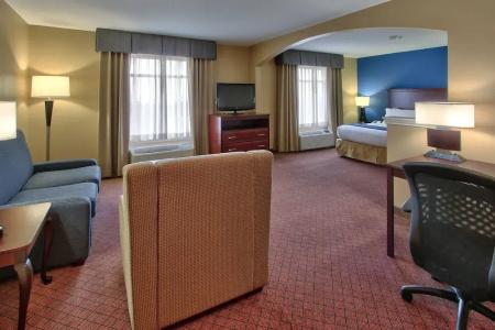 Holiday Inn Express & Suites Houston-Downtown Convention Center, An Ihg - 64
