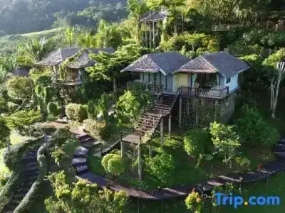 Khaosok Boutique Camps - 18