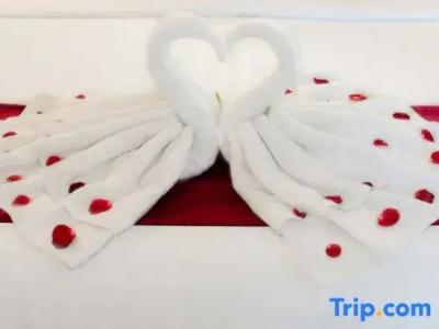 Amoya Inn - 130