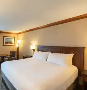 Crowne Plaza, An Ihg - 49