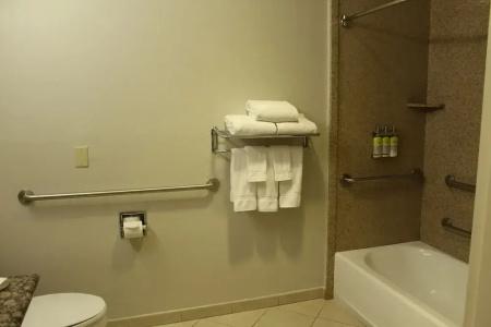 Holiday Inn Express & Suites Tucson Mall, An Ihg - 65