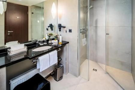 Park Plaza Trier - 65