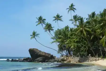 Sri Gemunu Beach Resort - 27