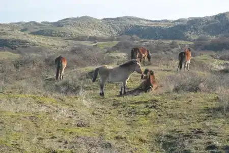 StrandGolfzang - 29