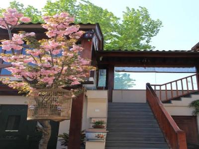 Jingshan Garden - 9