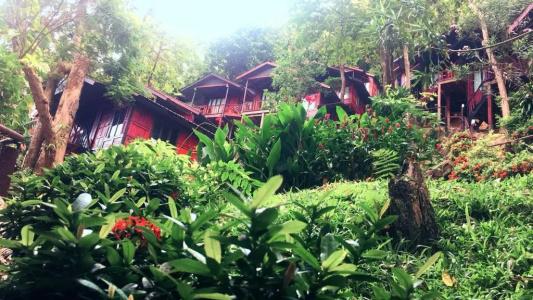Phi Phi Green Hill Resort - 35