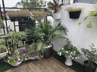Hanoi La Selva - 136