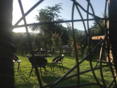 Royal Palace, Lagodekhi - 13