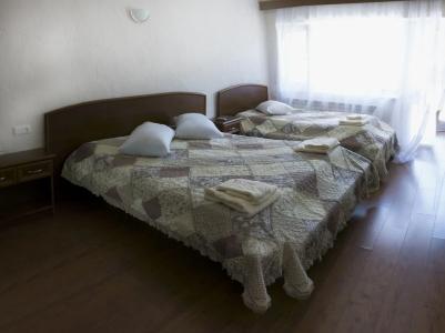 EcoRest - Likani Palace - 56