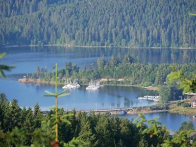 Wochner's-Sternen Am Schluchsee Hochschwarzwald - 26