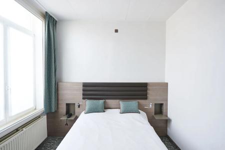 Grand de Flandre - 5