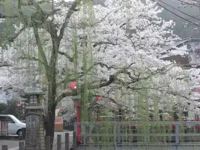 Ryokan Matsuya - 9