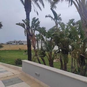 Best Western Nettuno - 31