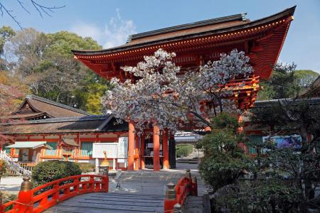 Sotetsu Fresa Inn Kyoto-Shijokarasuma - 21