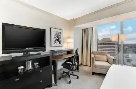 Hilton Anaheim - 72