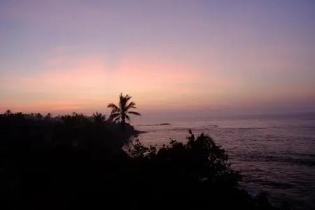 Jayanthi Surf Dreams - 5