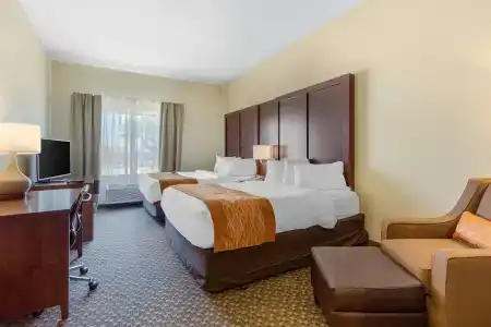 Comfort Inn & Suites SW Houston Sugarland - 2