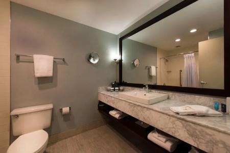 Crowne Plaza Convention Center, an IHG - 61