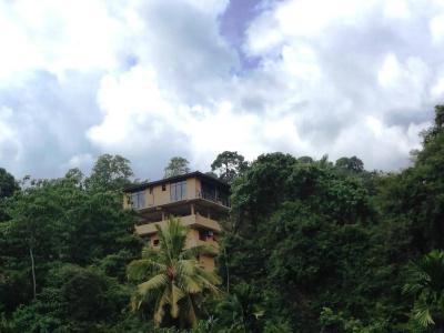 Kandy View - 13