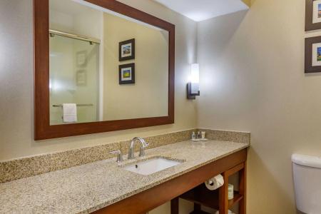 Comfort Suites Walnut Creek - 7