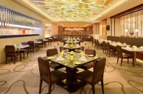 Radisson Blu Plaza Chongqing - 17