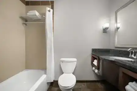 Holiday Inn & Suites Downtown, an IHG - 87