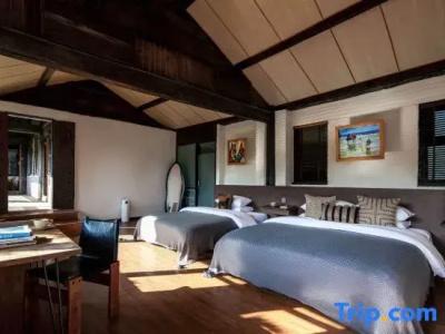 Adonis Inn - 13