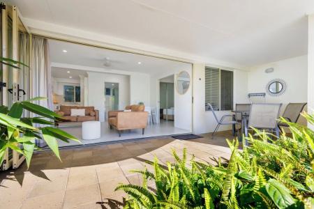 Noosa River Palms - 234