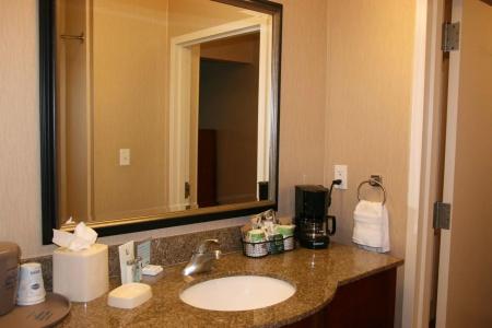 Hampton Inn and Suites North-Airport - 8