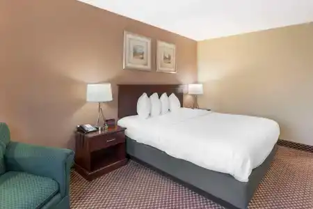 Quality Inn & Suites University Area - 22