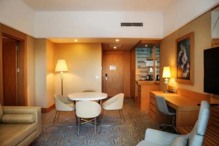 Tryp By Wyndham Izmit - 30