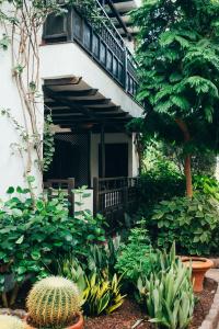 Parque Tropical - 23