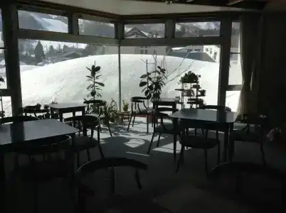 Hakuba Alpine - 25