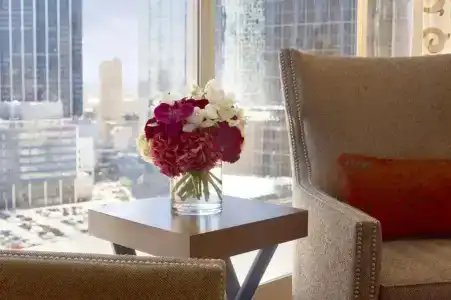 Fairmont Dallas - 7