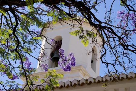 Plaza Cavana - 114