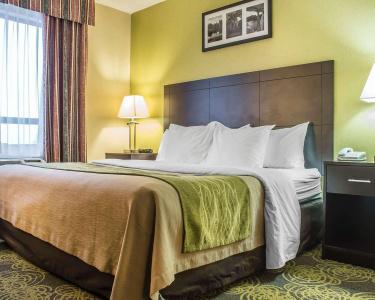 Comfort & Suites - 6