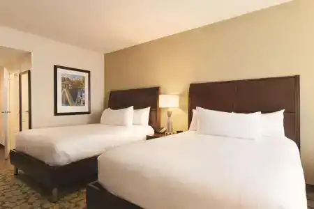 Hilton Garden Inn Boston Logan Airport - 4