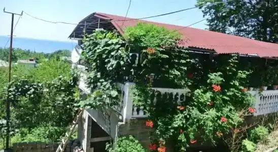 Баду - 1