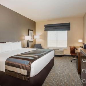 Wingate by Wyndham Denver Airport - 21