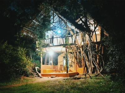 Back of Beyond - Dehigaha Ela - 41