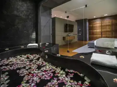La Cigale Managed by Accor - 68