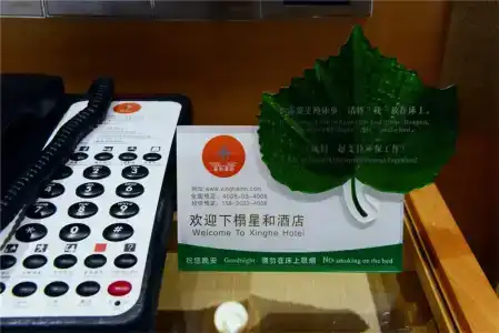 Xinghe Business(Railway Station & YuexiuPark Branch) - 20