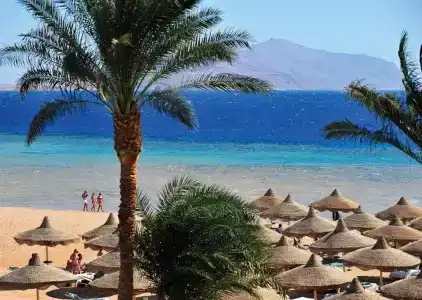 Baron Palms Resort Sharm El Sheikh (Adults Only) - 40