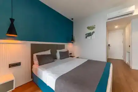 Tema 242 - 35