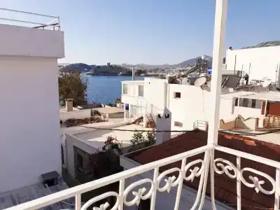 Angora - 25