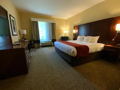 Comfort Suites North - 81