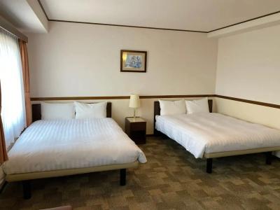 Toyoko Inn Airport - 19